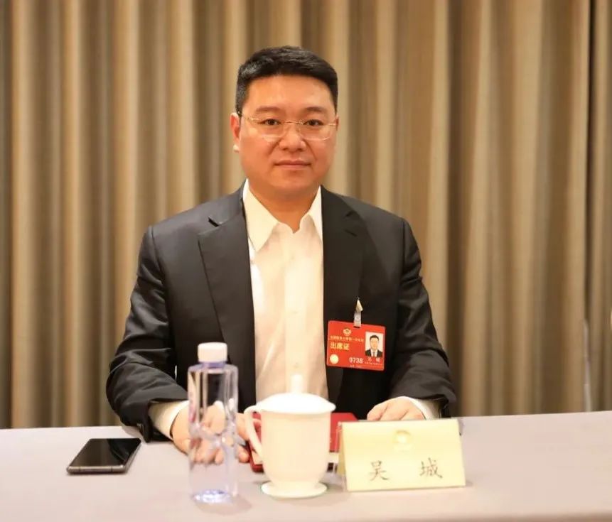 多能互补，，，，，，，，让能源加速绿色转型｜吴城委员对话央视财经